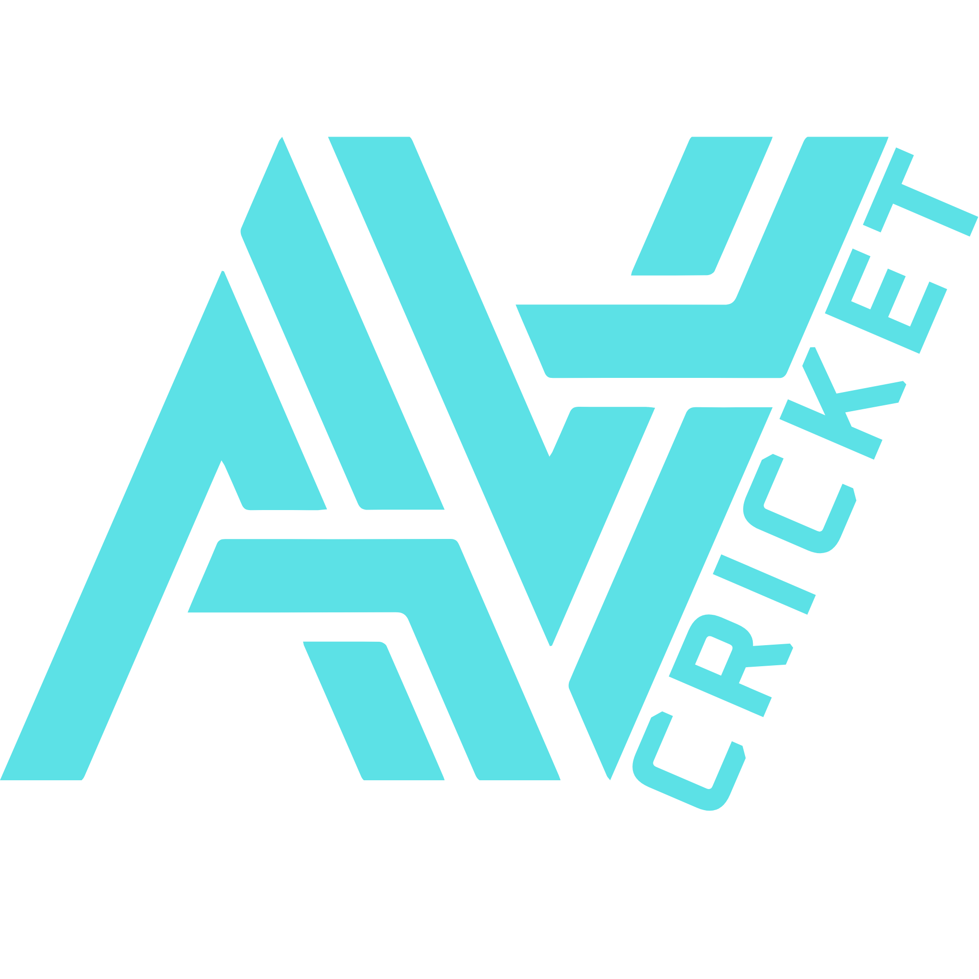 Arena Vision Cricket logo